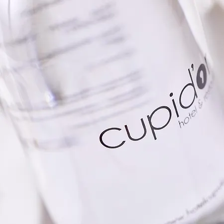 מלון Cupidor 3*